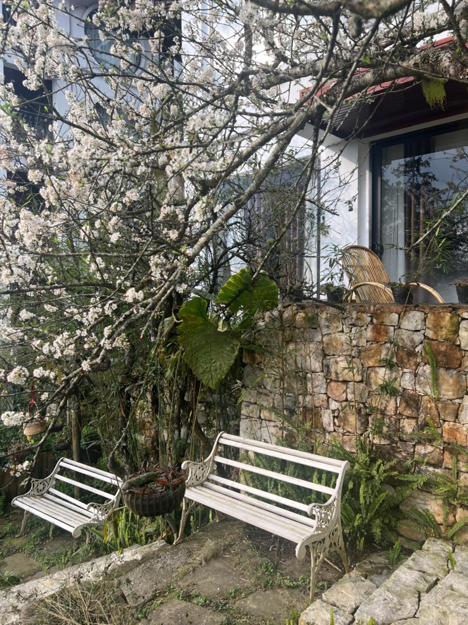 Green Villa Sapa Exterior foto