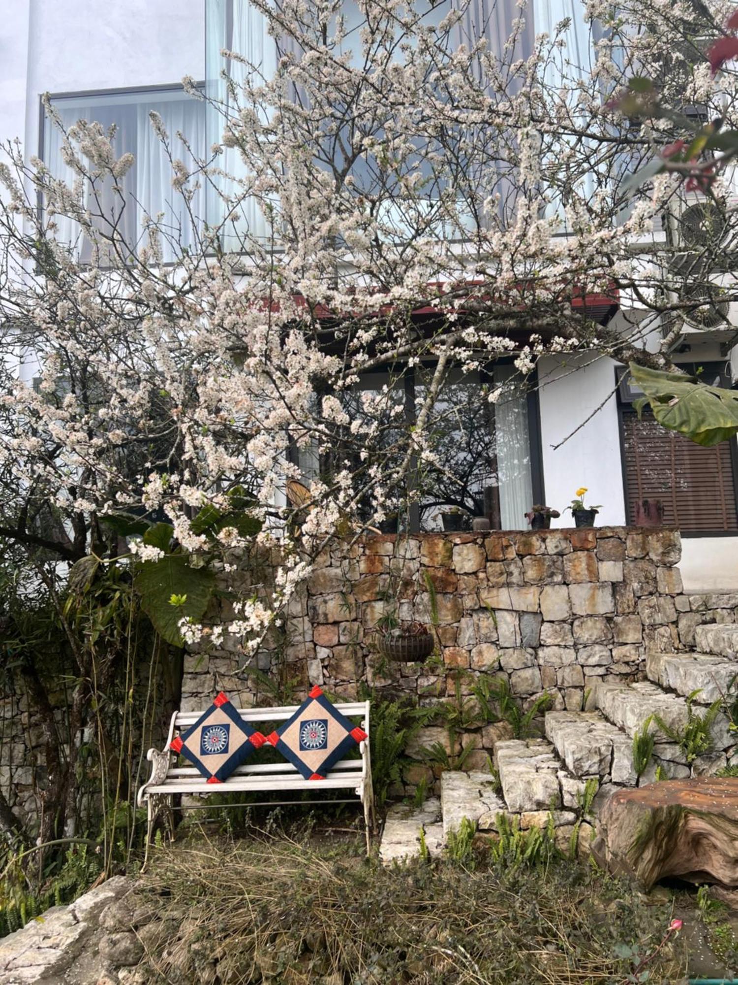 Green Villa Sapa Exterior foto
